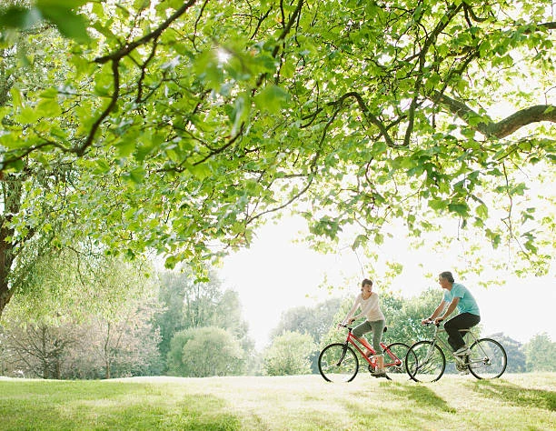 Kettenführung Verkäufe -Kettenführung Verkäufe Couple riding bicycles underneath tree bicycle sto